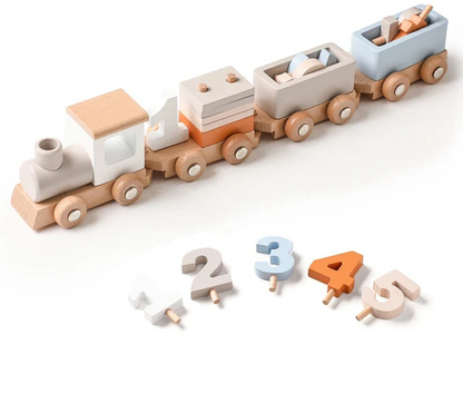 Montessori Wooden Train Set